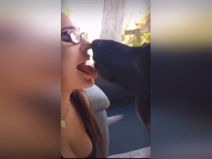 Scenes de sesso avec des chiens sexy - Une salope succulente