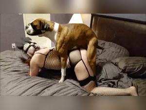 Eine leidenschaftliche Beziehung zwischen Mannern und Hunden