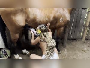 Unveiling Hidden Pleasures