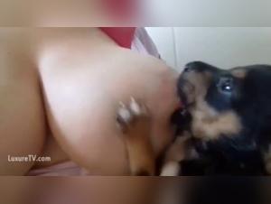 Check out a one-of-a-kind dog sex video