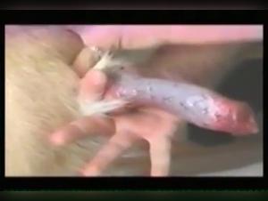 Vidéo de bestialité avec Mr.Beast et son chien : tabous et limites du sexe extrême