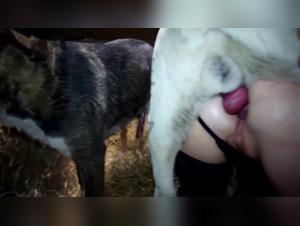 Hunde-Sado-Masochismus: Yasmins unwiderstehliche Versuchung