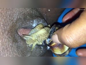 Regardez cette vidéo de bestialité avec un escargot et une femme