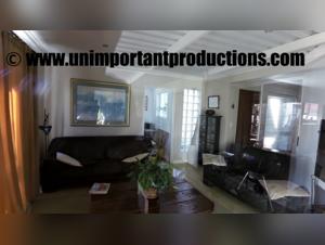 Sexy Cat Playing with Dildo at Home