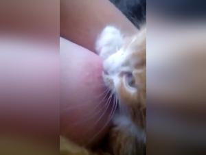 Explore the Limits of Passion in this Extreme Zoophilia Video