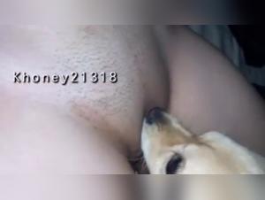 Intense sex scene with a dog in a zoophilia video