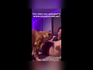 Hardcore dogsex: the raw drive of a dominated young woman