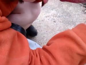 Watch this woman give a blowjob to a dog in a bestiality sex video