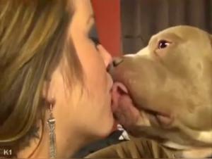 Extreme sex videos: zoophilic mom and her dog