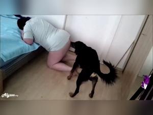 Curvy women, dogs and unexplored impulses