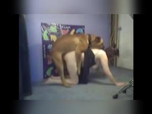 webcam  -  Observez la Connexion Interdite entre Femme et Chien