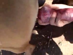 Sex with a dog: a unique and shocking experience