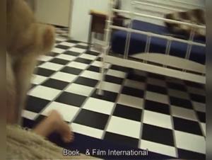 Découvrez les plaisirs de la zoophilie avec cette vidéo de sexe hard