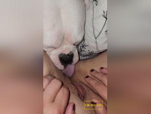 Bestial enjoyment: Lick, the exploded border