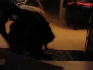 Hard Porn Scene with a Woman and a Horse