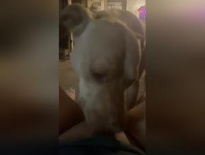 Uncompromising Look at Interspecies Connections