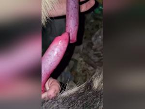 Zoophilia video: extreme sex with an animal