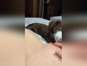 A Glimpse into the Unconventional