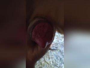 Watch this exciting bestiality bestiality sex video