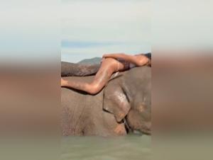 Salope chatte chatte baise avec chien en video sexy