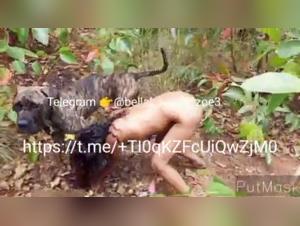 Hard and porn images of sex with dogs in this bestiality video