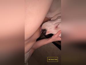 Befriedigen Sie jede Fantasie: Von Hunden bis hin zu hingebungsvollen Frauen