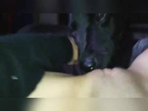 Woman and Dog Share an Intimate Moment in This Shocking Video