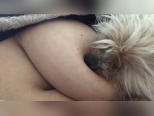 Extreme Video with a Dog