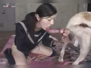 Asian Blowjob With Dog - Bestiality Sex Video