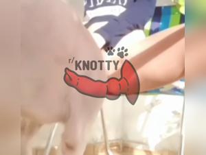 Les raisons de la reaction des couples en colere