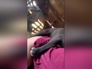 La troia succhia il suo cane, il desiderio folle e i nodi in fiamme