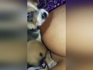 Explore the taboos of bestiality in this shocking video