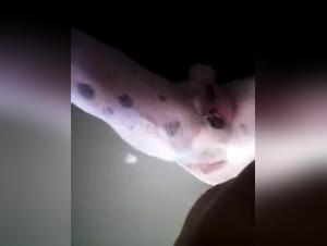 Intimate and shocking moments between a woman and her pet