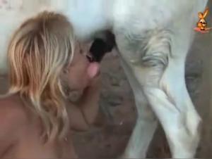 bestiality tubes tier porno