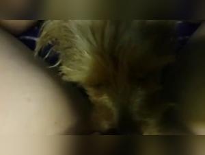 Bestiality Sex Video: Discover Ecstasy