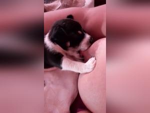 Bestiality Sex Video: An Exciting Experience