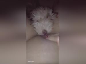 Discover the pleasures of zoophilia in this hardcore video