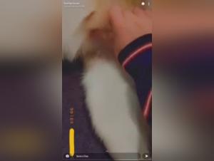 Watch this Young Snapchat Girl in a Dog Sex Video