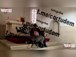 Step into the XXXanimal Realm