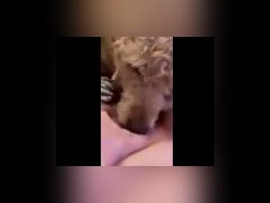 Intense bestiality scene with a dog