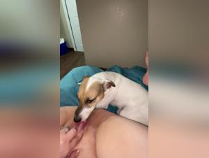 Lick, Fuck, Submission: Milly's Demonic Exploration with her Pet