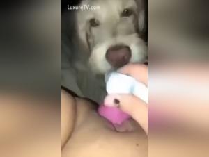An Extreme Experience with a Dog and a Dildo