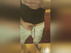 dog knot compilation