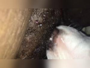 An Intense and Unique Experience