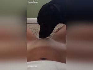 Hardcore and extreme sex videos