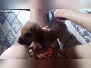 Watch This Woman Feed a Starving Puppy in a Shocking Way