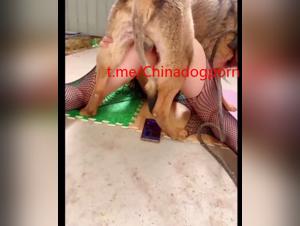 Delizie solforose tra donna e cane in video