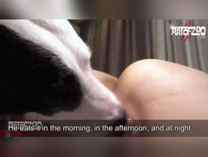Scene hardcore: la dominazione canina di Shantal