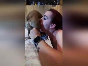 Blowjob Animal: Délices Interdits