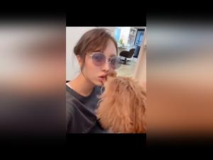Bestiality sex videos with dogs
